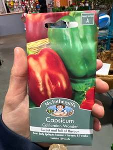 Capsicum