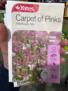 Seeds Clearance: Carpet Of Pinks