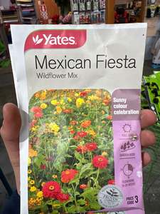 Seeds Clearance: Mexican Fiesta