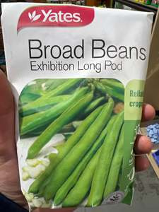 Seeds Clearance: Broad Beans