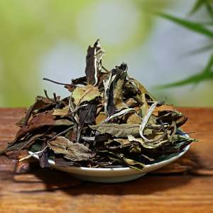 Ancient Tree White Tea