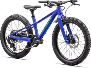 Specialized Kids Bikes: Specialized Riprock 20 2024