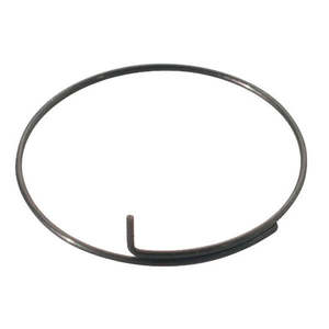 DT Swiss Sping for Pawl Carrier