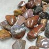 Products: Petrified Wood, Tumbled Stones – Large – 350g