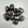 Chiastolite, tumbled stones – X317-D4