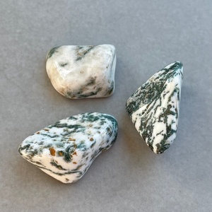 Agate, Tree (Tumbled) - The Crystal People