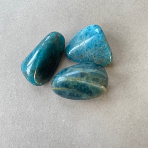 Apatite (Tumbled) - The Crystal People