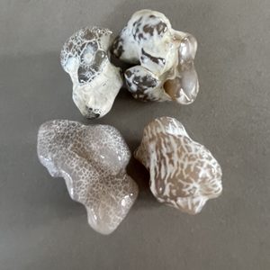 Agate, Snakeskin, Polished (Mineral) - The Crystal People