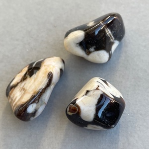 Peanut Wood (Tumbled) - The Crystal People