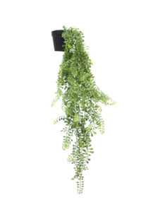 Greenery: Potted Hanging Vine