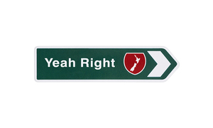 Accessories - The Changing Room: Tui Magnet- Green Yeah Right