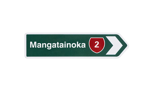 Accessories - The Changing Room: Tui Magnet- Green Mangatainoka
