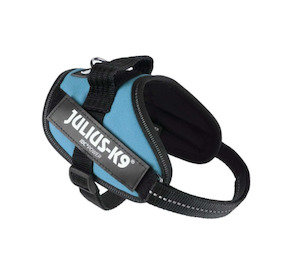 Travel: Julius IDC Powerharness - Aquamarine - small sizes