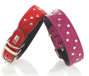 Leather Collars Dog: Capri Mini Star Collar