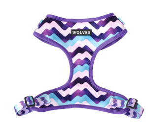 Harnesses Dog: Sulley Mesh Harness