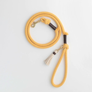 Leads Dog: Organic Cotton Leash - Sunflower Yellow