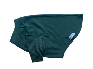 Olive Green Merino Tee