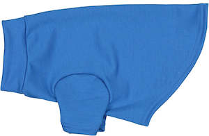 Wear: Sky Blue Merino Tee