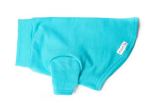 Cosy Turquoise Merino Tee