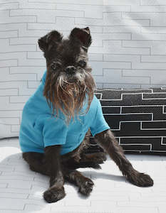 Turquoise Blue Activewear Merino Tee