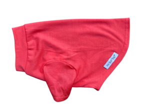 New Arrivals: Melon Merino Tee - Size Small only