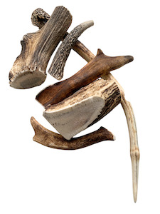 Eat: Deer Antlers