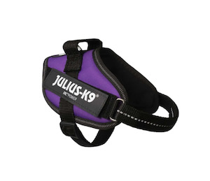 Travel: Julius IDC Powerharness - Dark Purple - small sizes