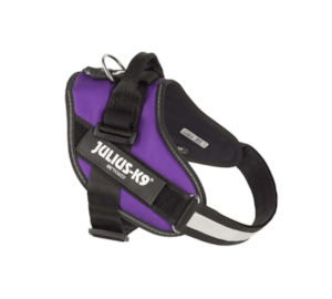 Julius IDC Powerharness - Dark Purple