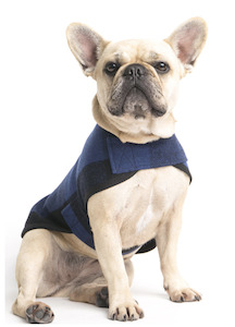 Jackets Dog: Dark Blue Tartan Wool Walking Coat