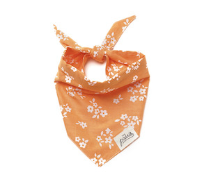 Bandanas Dog: Easton Bandana