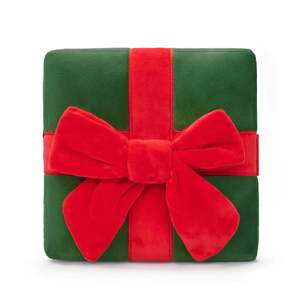 Holiday Present Interactive Dog Toy