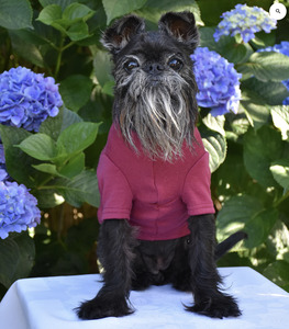 Dark Raspberry Merino Tee - Size Large/Long