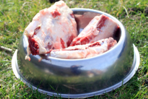 Products: BEEF BRISKET BONES CharliesPetSupplies