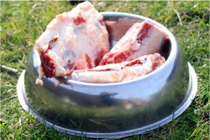 Beef Brisket Bones CharliesPetSupplies