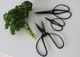 Scissors - pack of 3