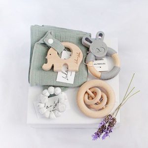 Baby gift Chasing Dreams Baby Sleep Consultant