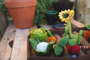 Wholesome Harvest - Garden Play Set  (Ex-Display Stock)