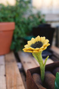 As The Garden Grows: Wool Felt Mini Sunflower