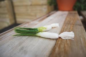 As The Garden Grows: Wool Felt Garden Vegetables - SPRING ONION