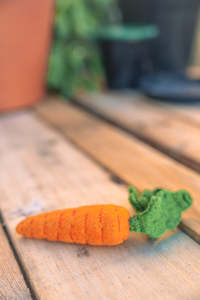 Wool Felt Garden Vegetables - CARROT