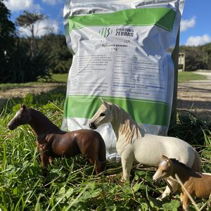 Products: Organic Spirulina Powder 1kg