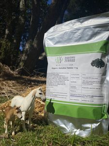 Products: Organic Spirulina Tablets 1kg