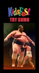 Products: Kidsfest Try Sumo 5 13 year olds - Christchurch Martial Arts
