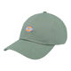 Dickies Hardwick Cap - Sea Spray