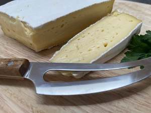 Cheese Knives: Slotted Soft Cheese Knife