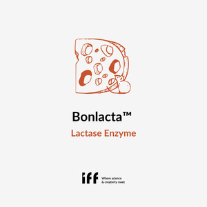 Bonlacta Lactase Enzyme - Cheeselinks Australia