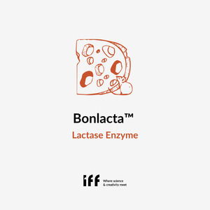 Bonlacta Lactase Enzyme - Cheeselinks New Zealand