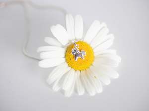 Kids Collection: Pony Necklace Set