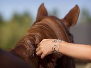 Junior Bangles | Youth/Teen