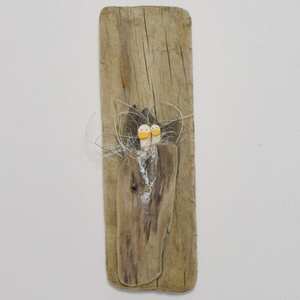 Products: driftwood